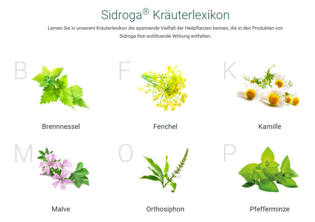 Ein Screenshot des neuen Kräuterlexikons von Sidroga, das während des Website-Relaunchs hinzugefügt wurde.